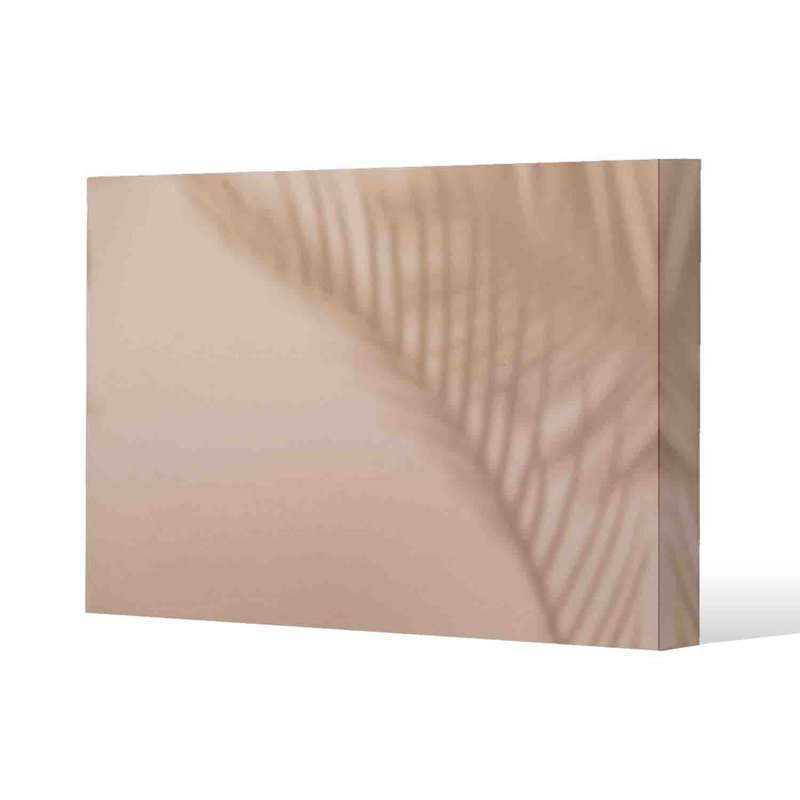 Leaf Shadow by Andrew Lee - Wrapped Canvas Print, 41cm H x 61cm W x 4cm D