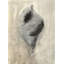 Seashells In Neutral I Painting by Guseul Park-26938888-26938889