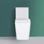 Toilette allongée une pièce 1,28 GPF (économe en eau) (siège inclus)