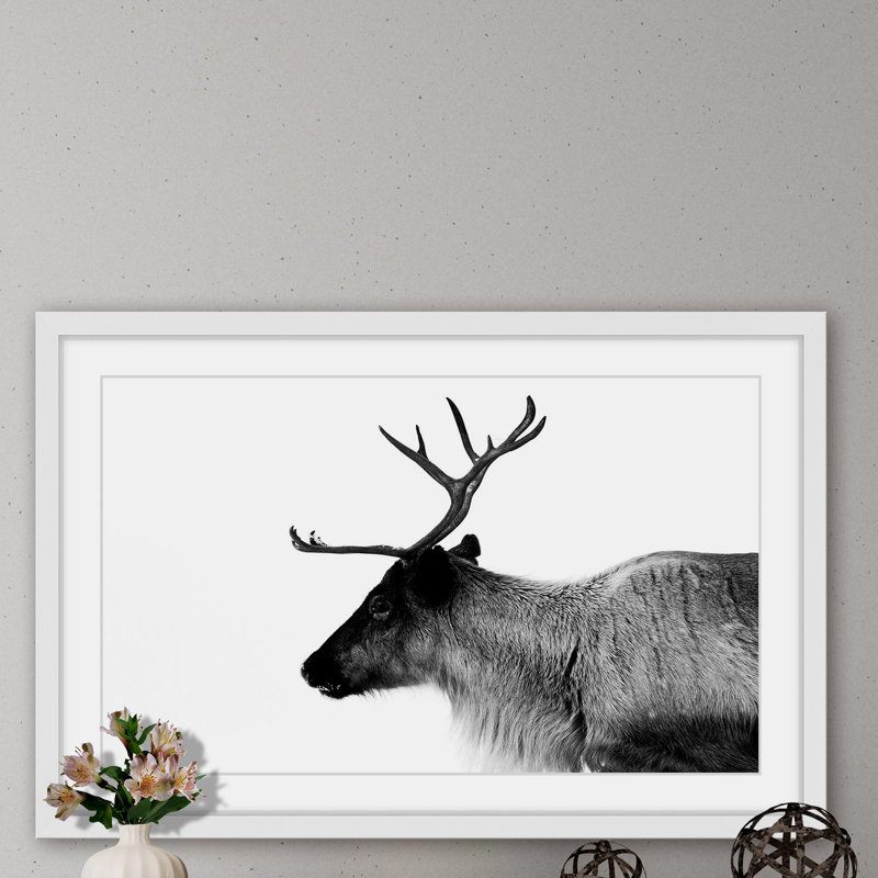 « antler profile », reproduction de photo sur papier encadrée, H 20 po x l 30 po x P 1,5 po, Cadre blanc