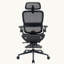 Office Chair with Headrest-2003331073-2003331074