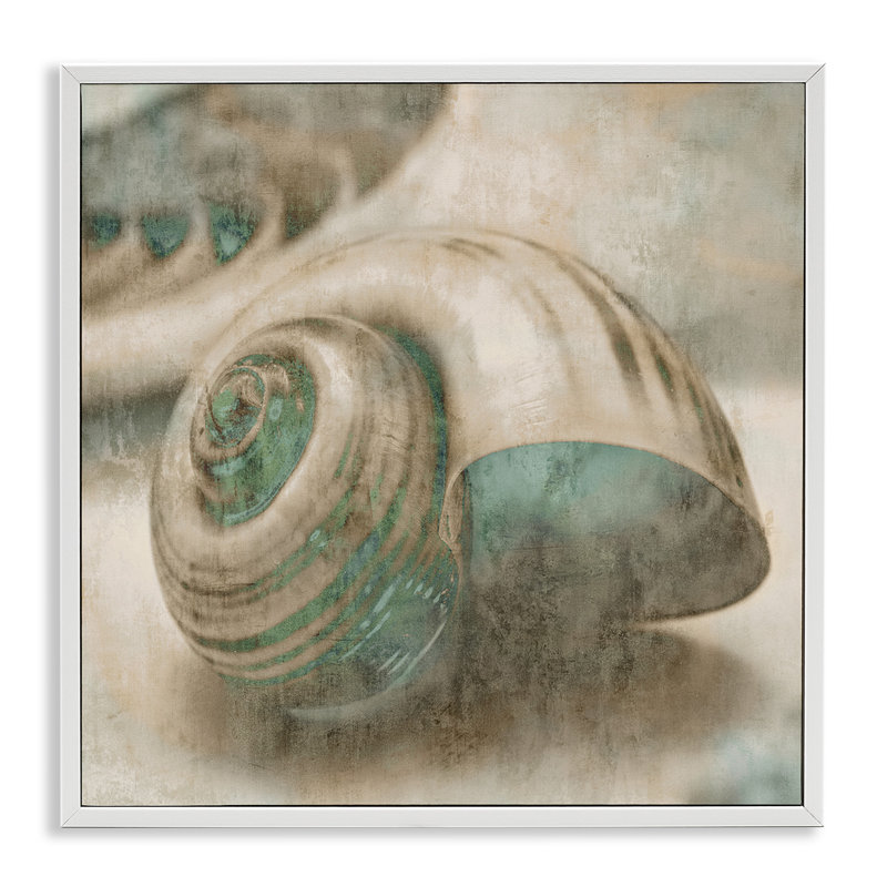 «Centered Sharkeye Seashell Texture patiné bleu clair» par Ziwei Li - impression d'art graphique, H 12 po x l 12 po