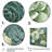 Green Succulents Flowers Serene Succulents IV - Succulent Wall Art-1919756906-1919756905