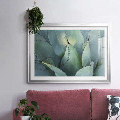 «Blue Agave I», impression sur papier