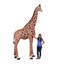 Girafe 12 pi