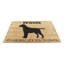 Palmore Non-Slip Outdoor Doormat
