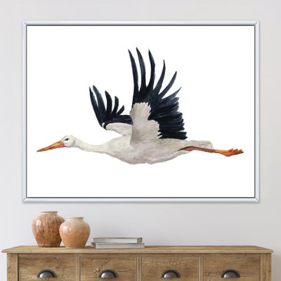 Flying White Stork Ciconia Bird - Animals Wall Art