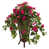 Rose sélectionné