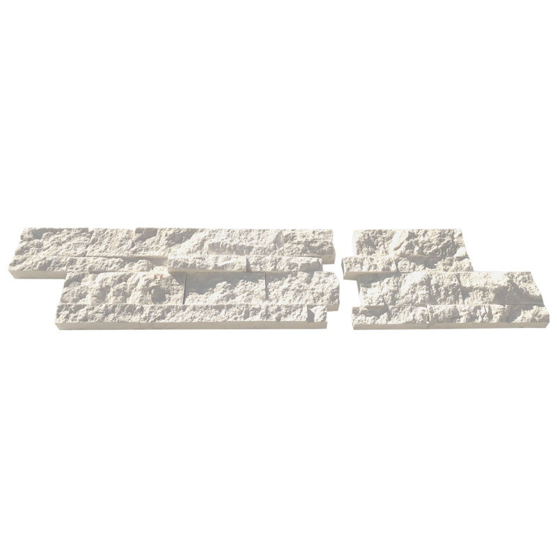 Grand livre 6X24 Fossil Stone