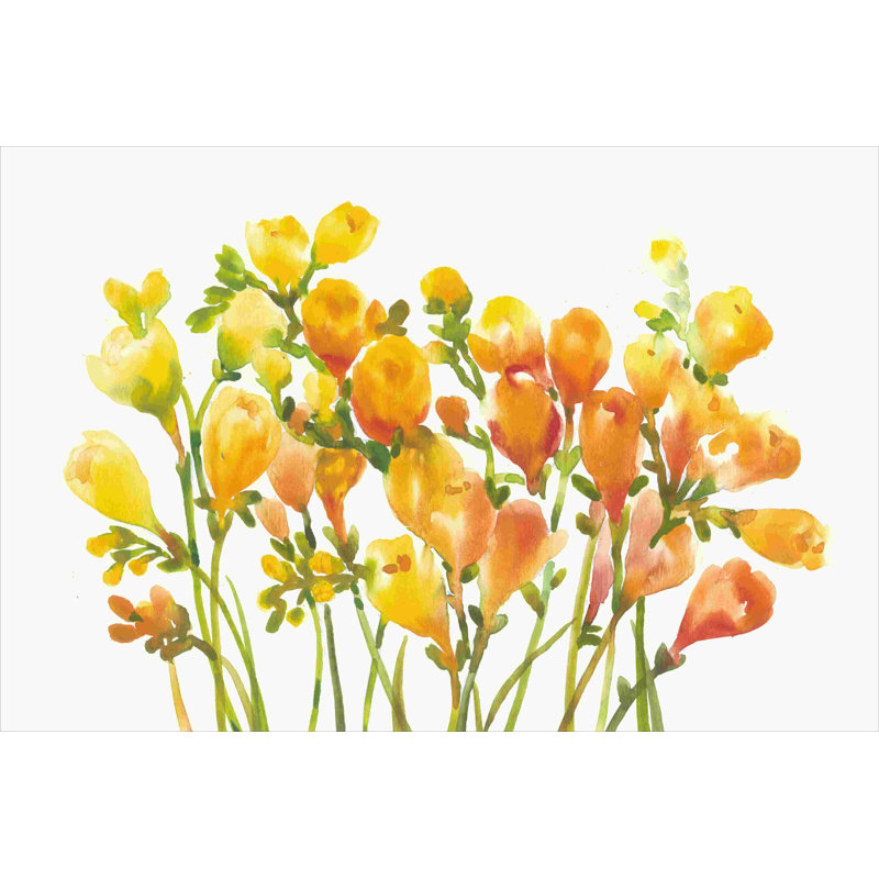 Freesia I, H 8 po x l 12 po