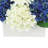 Hydrangeas and Rudbeckias in Ceramic Pot