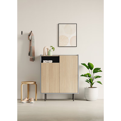 Shaneah 9 Pair Shoe Storage Cabinet