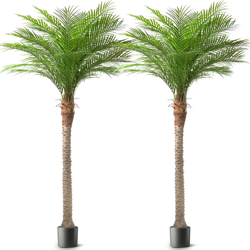 Artificial Palm Tree In A Pot A Set, 106.3" H x 51.2" W x 51.2" D