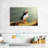Brampt Proud Puffin-108127121