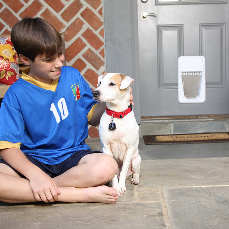 PetSafe® SmartDoor Electronic SmartKey