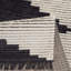Tapis noir et ivoire moderne