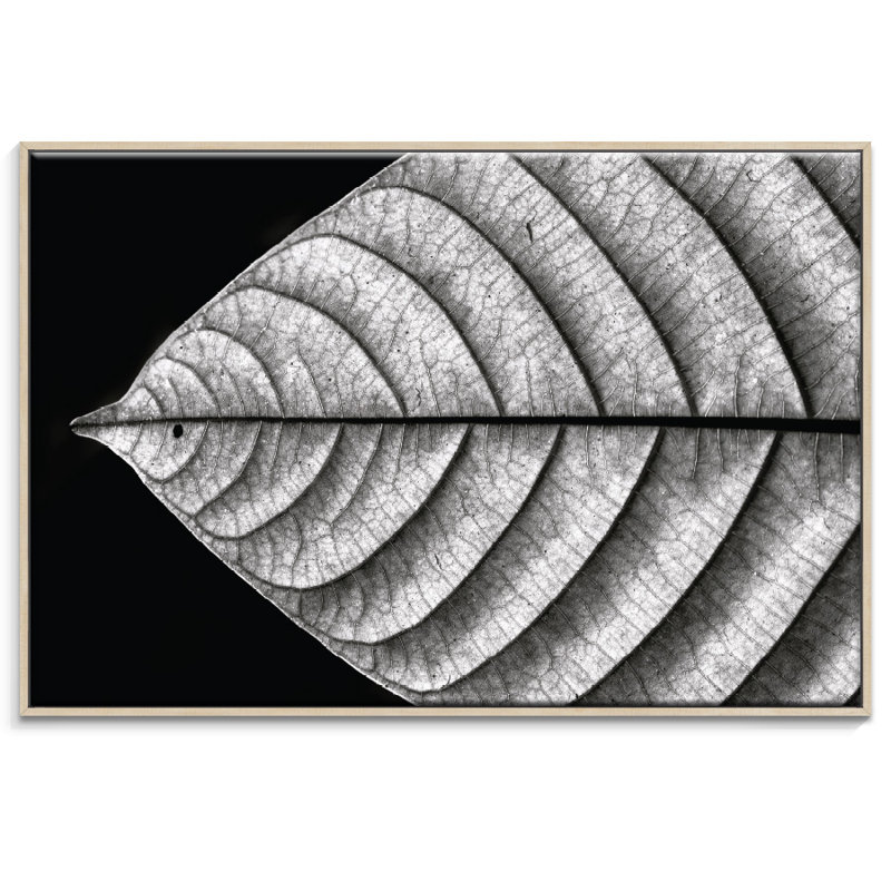 Print on Canvas, 102cm H x 152cm W, Timber Floater Frame