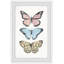Butterfly Trio - Single Picture Frame Painting-1164004872