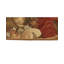 Wool Area Rug