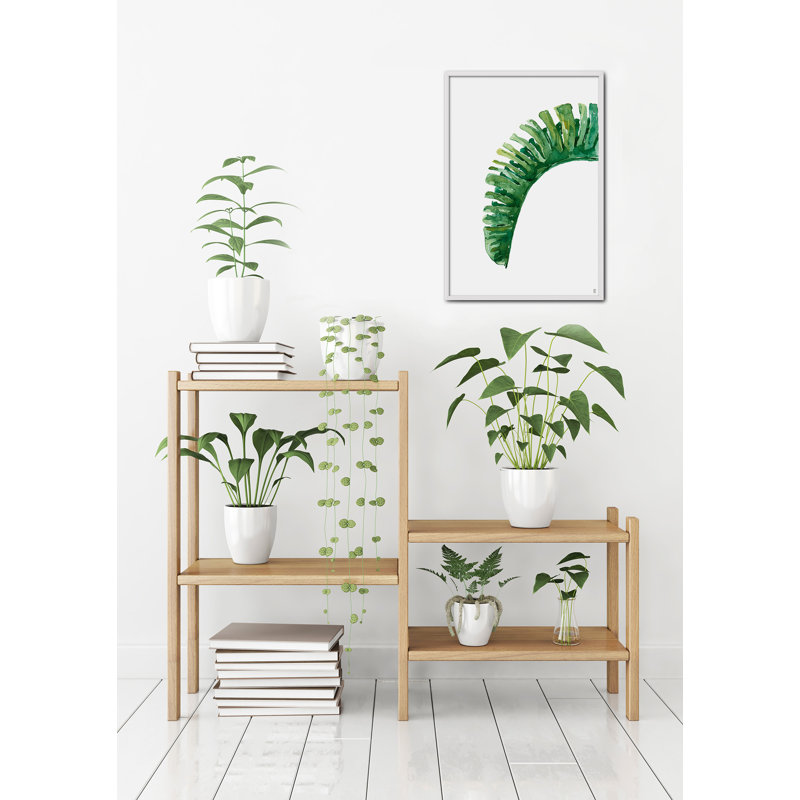 Nature Planta Ortiz V by César Ortiz Echagüe - Single Picture Frame Painting, 60cm H x 40cm W x 3cm D