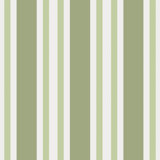 Marquee Polo Striped Wallpaper Roll