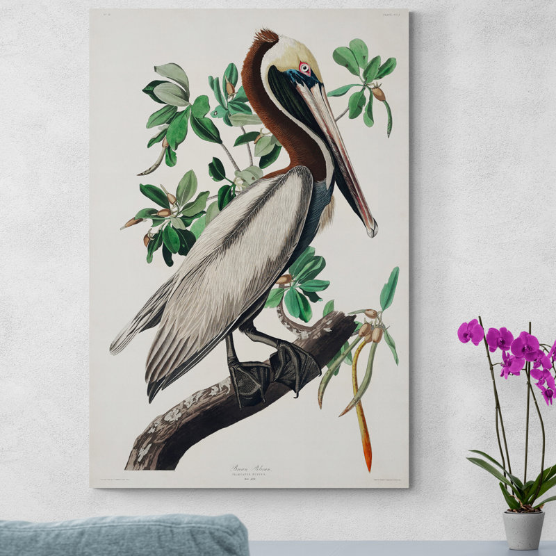 Roseate Spoonbill by John Audubon - Wrapped Canvas Print, 41cm H x 31cm W