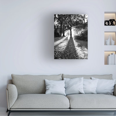 Bolog Roseanne Jones Evening Shadows Canvas Art