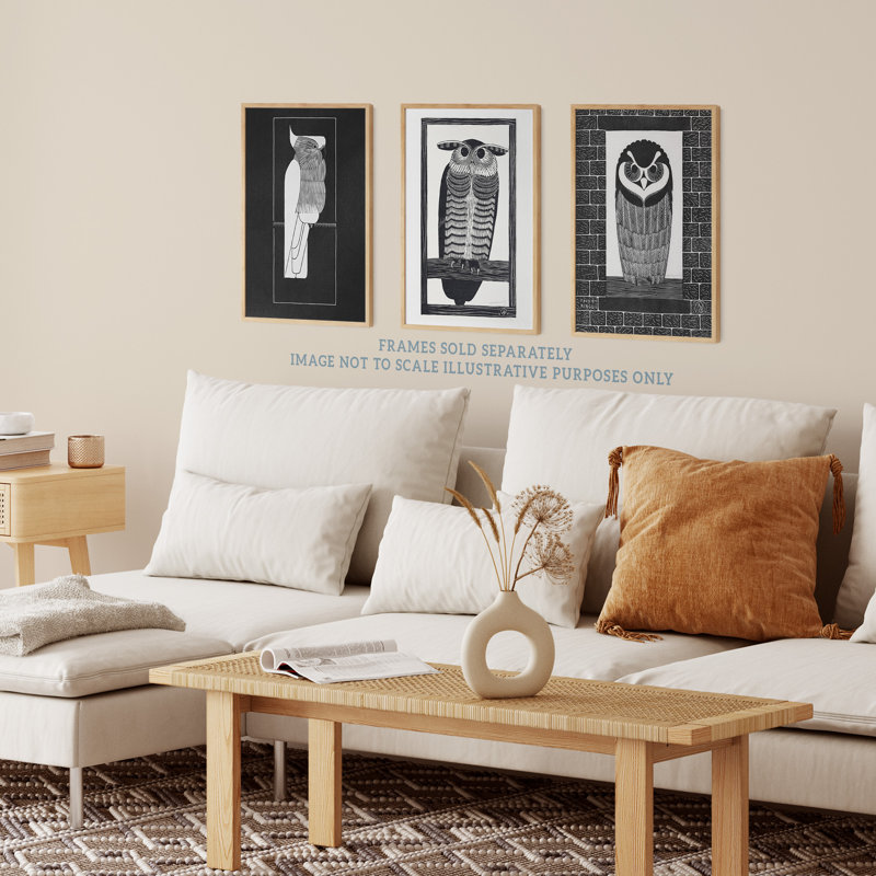 Julie De Graag Black White Graphic Linocut Owl Parrot Vintage Bird - 3 Piece No Frame Print Set