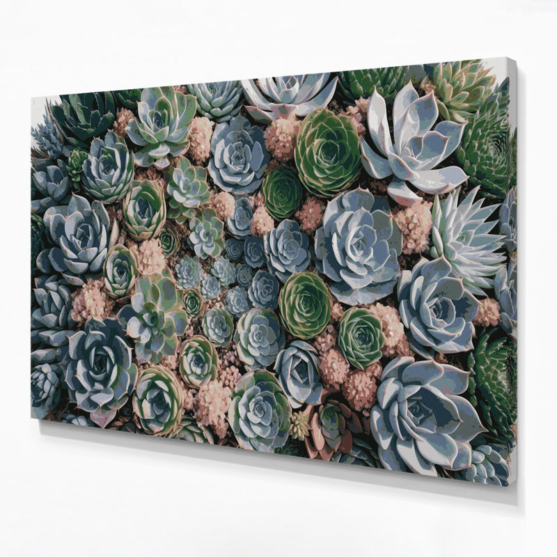 "Botanical Succulents", art mural sur toile grise, H 20 po x l 24 po