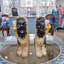 Porcelain Staffordshire Dog Figurines Pair-1729183289