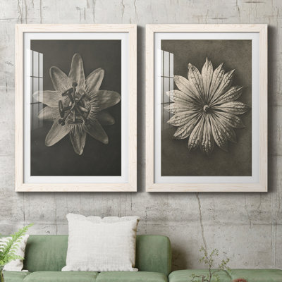 «Blossfeldt Flower I», ensemble de 2 reproductions de photos sur papier encadrées