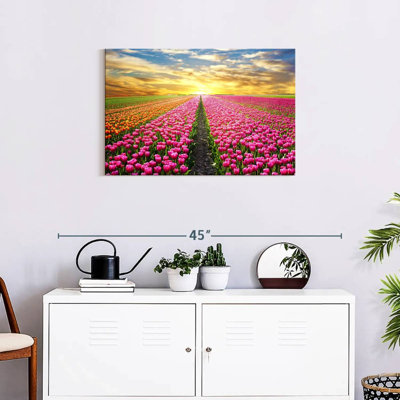 Champ de tulipes