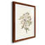«Twig Study II», impression encadrée-1326240125-1326240126