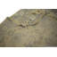 Tapis oriental Oushak Chobi Mute Beige