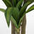 Faux 59'' Dracaena Tree