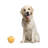Deeann Food & Beverage Figurines & Sculptures