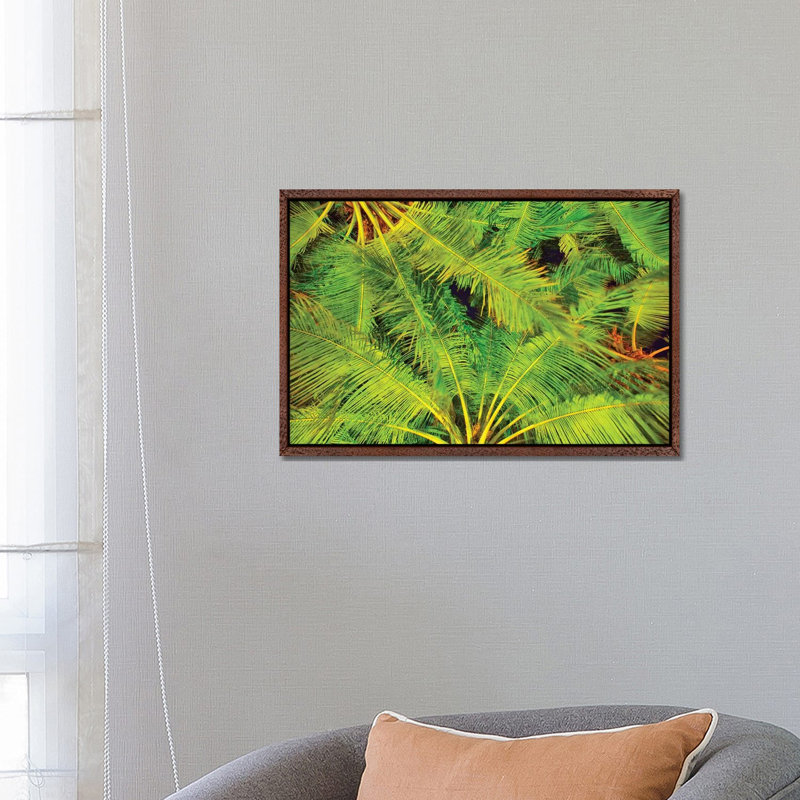 Dancing Palm Fronds 1 Piece Wall Art on Canvas, 45.72cm H x 66.04cm W x 3.81cm D, Classic Brown Wood Floater Framed