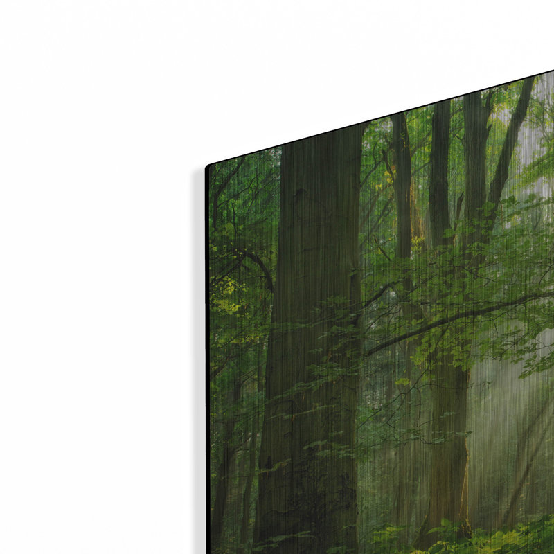 "Breathe" par Lars Van De Goor, H 12 po x l 16 po