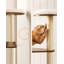 165cm H Cat Tree-89157863
