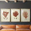 Antique Red Coral II  -Custom Framed  Premium Print W Matt - 3 Pieces