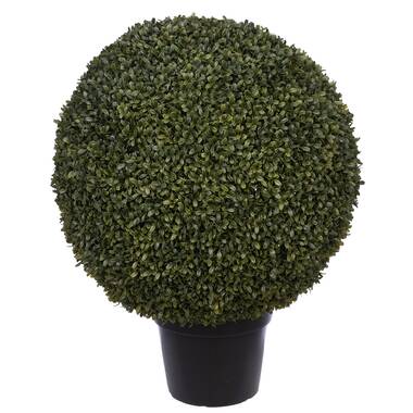 Charlton Home® 30'' Faux Boxwood Topiary in Pot & Reviews | Wayfair