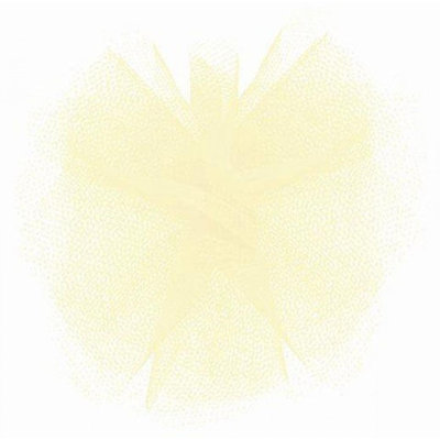 6"X25Yds Tulle Ribbon
