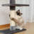 Interactive adjustable 6-tier floor-standing cat tower