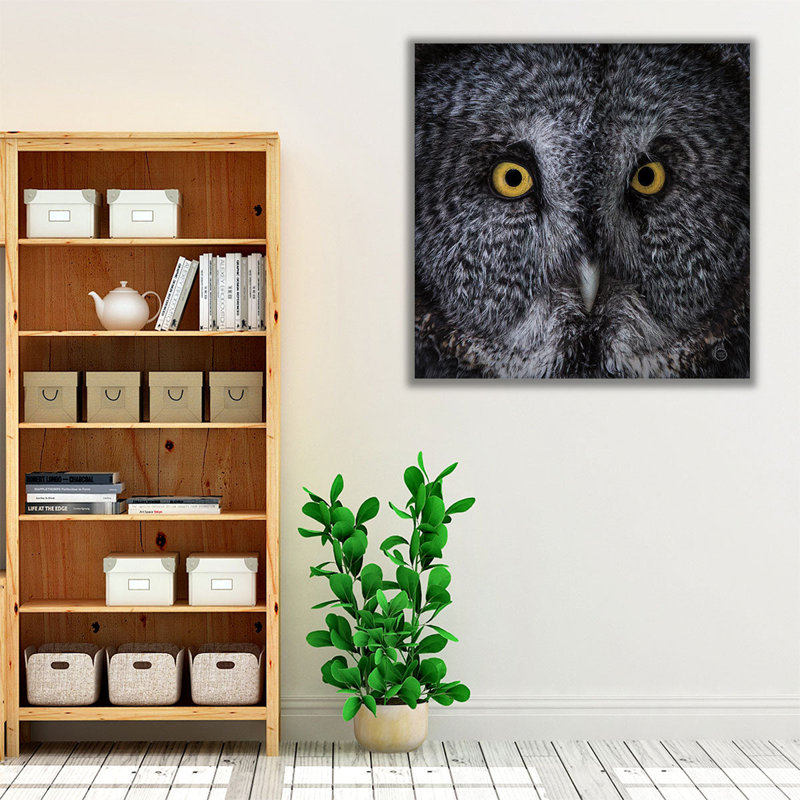 Grand hibou gris - reproduction d'art sur toile, H 20 po x l 20 po