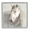 "Stupell Industries White Horse", peinture sur toile par Danhui Nai