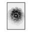 X-Ray Print by Alex Zhao-81386833-131292247-131292248