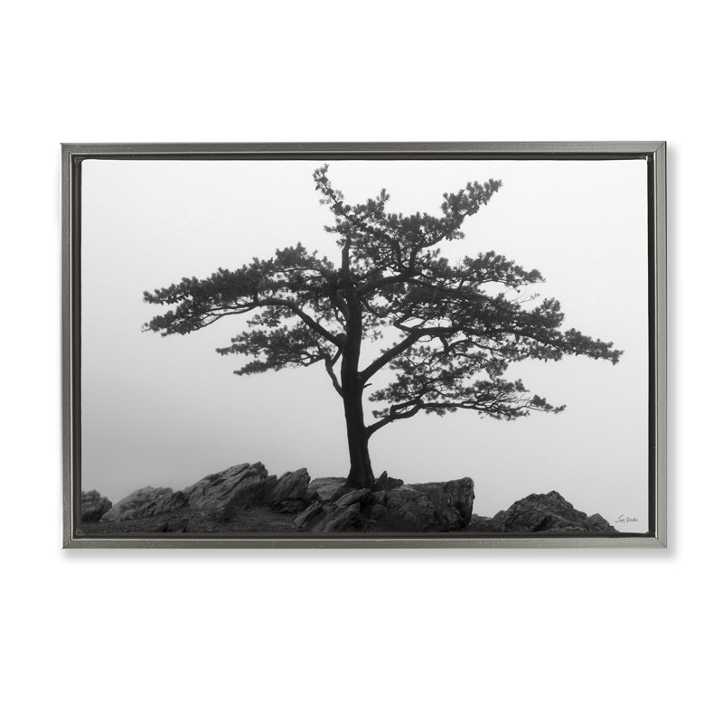 Toile flottante «Lone Tree on Rocks» par Lori Deiter, Cadre flottant gris lustré, H 21 po x l 31 po