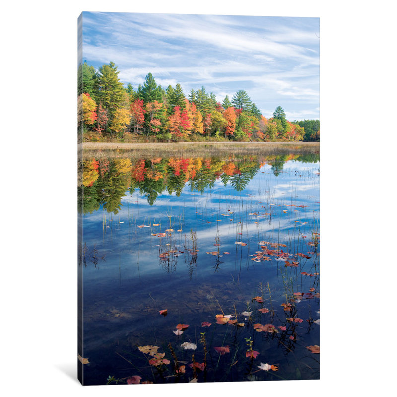 «Autumn Reflection II» par Gareth McCormack - Estampe numérique sur toile tendue avec châssis, H 40 po x l 26 po x P 1,5 po