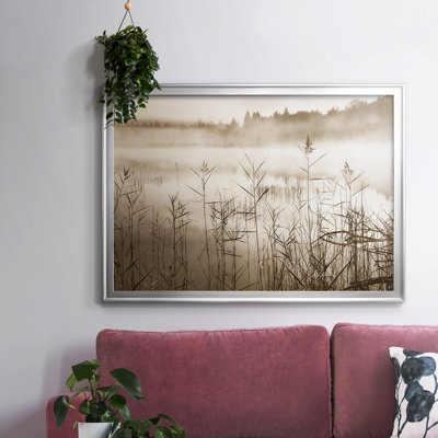 " Soft Sepia Rise "