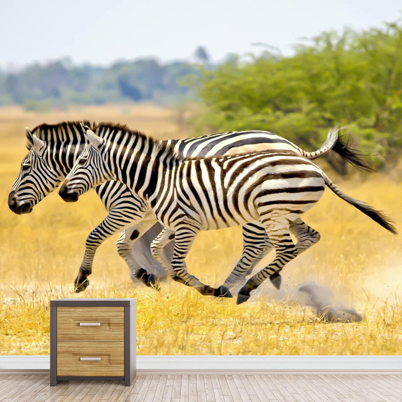 Safari africain sur le terrain avec des zèbres sauvages Photographie de paysage, L 66 po x l 96 po